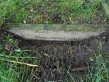 image of grave number 568516